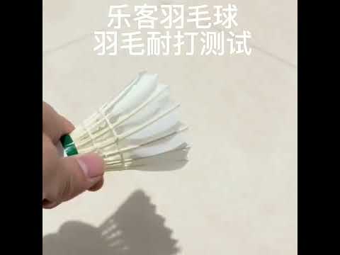 ~子甄彣璟~羽毛球 粗白鵝毛 飛行穩定 娛樂訓練球 訓練用球 耐打不易爛 鴨毛球 軟木球 練習 羽球 ~子甄彣璟~羽毛球 粗白鵝毛 飛行穩定 娛樂訓練球 訓練用球 耐打不易爛 鴨毛球 軟木球 練習 羽球