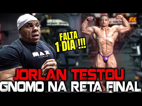 JORLAN MANDOU A REAL SOBRE O SHAPE DO GNOMO !!!