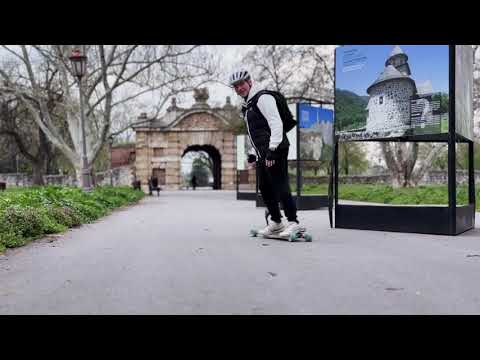 Miniature Schnauzer vs Lepsk8 LDP full version #longboard #belgrade