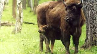 Навчаємося дистанційно