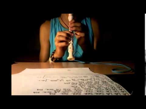 Alesso - Heroes (We Could Be) (Recorder cover)