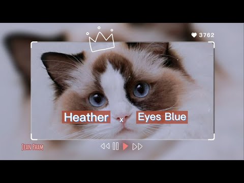 [Vietsub + Lyrics] Heather x Eyes Blue (Lofi Remix)