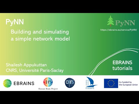 Building and simulating a simple model