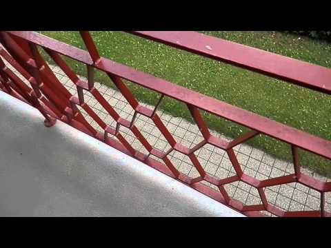 MongoTV_017 - Morgenhilsen Og Dagens Støjtest For Og  Bag