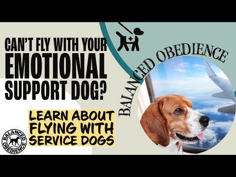 Balanced Obedience video.