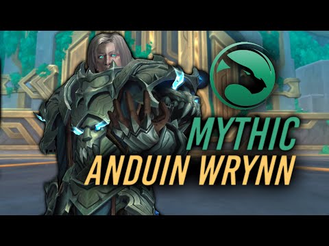 Echo Defeats Anduin Wrynn - Scripe PoV