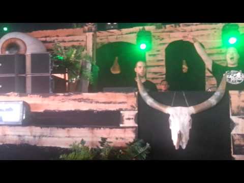 DAM live @ Dominator 2014