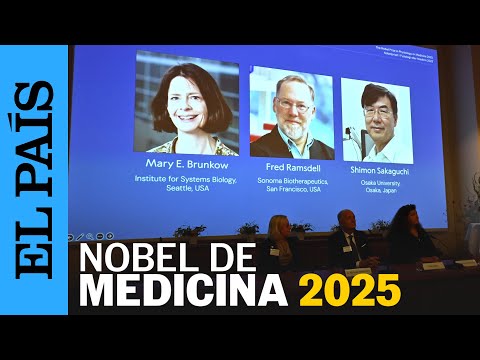 NOBEL de Medicina 2025 para descubridores de células "guardias" del sistema inmune | EL PAÍS