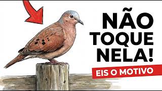 Miniatura do vídeo