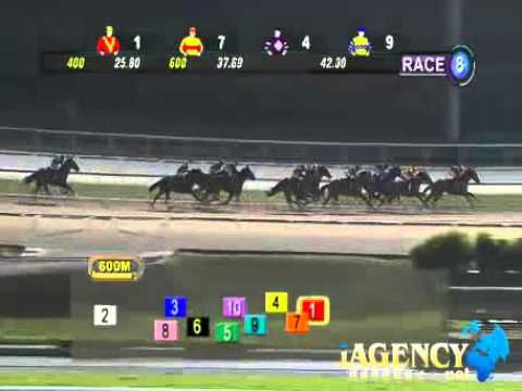 SINGAPORE RACE 14/02/2014 RACE 8 - iAgencyNet.com