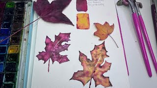 Live -it’s paint, mix and match hues, draw beautiful leaves I found in winter time