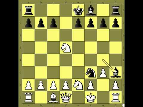 Protivnapad crnog - GIBBS vs SCHMID - Aljehinova odbrana  # 374