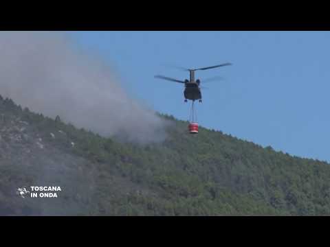 Incendio Monti Pisani, divieto di caccia nelle zone colpite