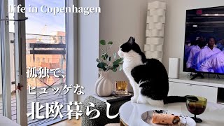 孤独すぎる海外生活?自分の好きと向き合う北欧暮らし|ファームリビング購入品|Life in Copenhagen