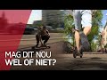 Steeds meer elektrische voertuigen in de stad