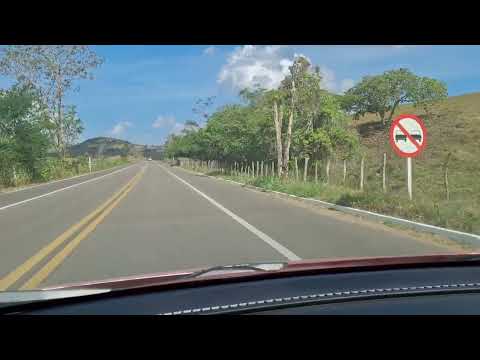 Indo de Palmeira 🌴 dos índios a Maceió AL. 