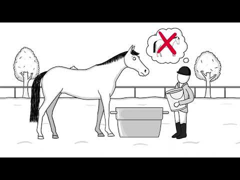 YouTube video about: How to treat hyperlipidemia in horses?