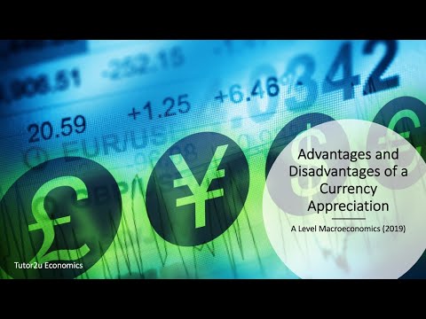 Advantages and Disadvantages of a Currency Appreciation I A Level and IB Economics