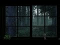 Rain On Window Thunder Sounds Rainy Afternoon Forest 8 Hours Relaxation Sleep Rain Sounds