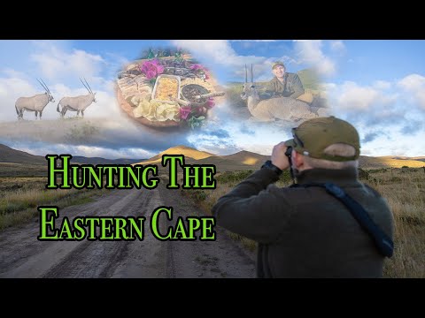 South Africa Safari 2022