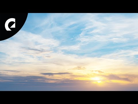 Helmut Schenker - Omnia