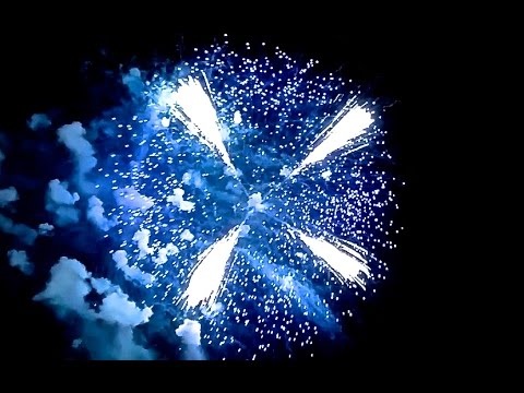 Big Italian Display-Shells - San Trifone, Adelfia 2016