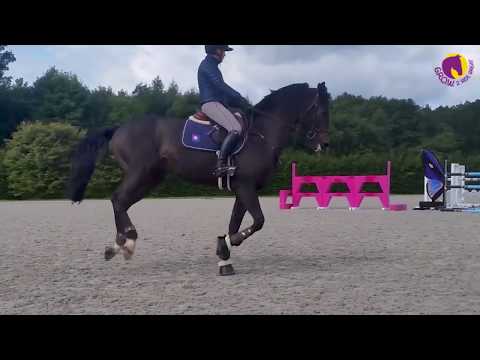 Day 2 - GROW 2 Ride Great IMMERSION I 2017