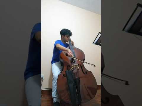 Dragonetti 5 estudios, #1