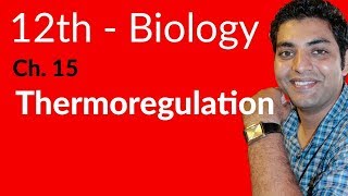 Fsc Biology Book 2 - Explain Thermoregulation - Ch 15 Homeostasis - 12th Class Biology