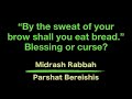 “By the sweat of your brow shall you eat bread.” Blessing or curse?