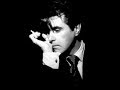 1S0NG,When she walks In the room (Bryan ferry)