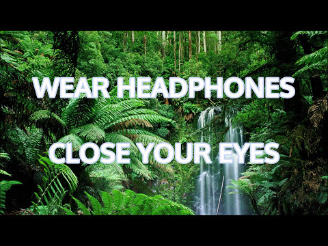 See with your Ears. Binaural sound for Virtual Jungle Book experience