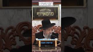 🕯לכבוד שבת קודש🕯👏🏻הרב בן ציון מוצפי👏🏻 @dorestzion @musayof-live (בית הכנסת מוסאיוף) - התמונה מוצגת ישירות מתוך אתר האינטרנט יוטיוב. זכויות היוצרים בתמונה שייכות ליוצרה. קישור קרדיט למקור התוכן נמצא בתוך דף הסרטון