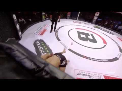 Crazy Flying Knee Knockout From Adam Borics