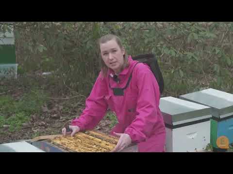 , title : 'Beekeeping 101: Varroa Treatment with Sarah Cross'