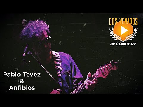 Pablo Tevez & Anfibios -  Silencio - En vivo en Dos Venados