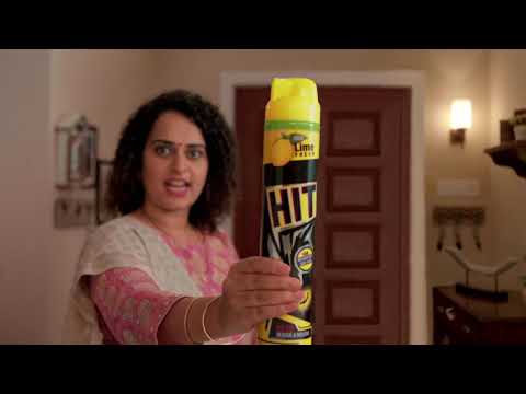 HIT Mosquito Fly Killer Spray