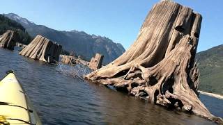 preview picture of video 'Kayaking the Dead Forest of Lake Keechelus'