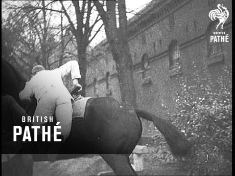 Cavalry Men In The Making In Germany (1937)