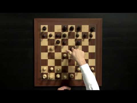 Magnus Carlsen Chess Training on Play Magnus App: How to Play the Opening