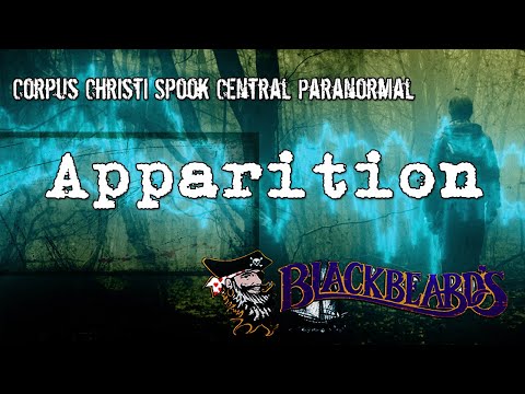 Blackbeard's On the Beach Video 1