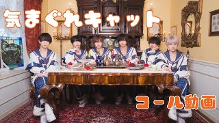 【コール動画】気まぐれキャット