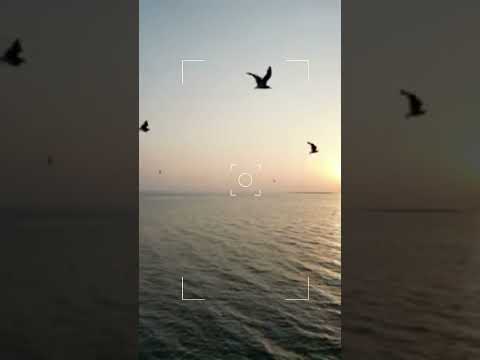 "Beach days and golden hours,Just a moment of nature's perfection"#ytshorts #trending #viral #nature