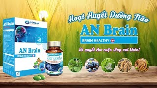 Hoạt Huyết Dưỡng Não AN Brain ✅ Hỗ Trợ Điều Trị Thiểu Năng Tuần Hoàn Não