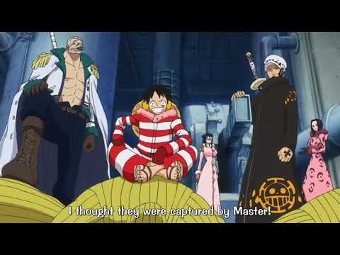 Trafalgar Law Luffy and Smoker team up | One Piece