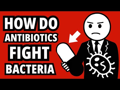 You’ll NEVER Guess How Antibiotics Actually Kill Bacteria!