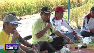 Potensi Pertanian, Peternakan dan Perikanan Desa  Bungin Kec. Banua Lawas