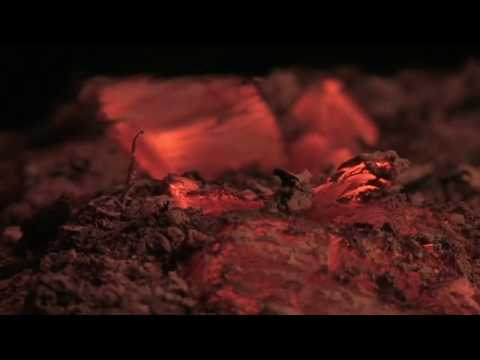 THE DUMPSTER FIRE   UrinatingTree, Thatsgoodsports, NFL MOVES AND MARCHMADNESS!