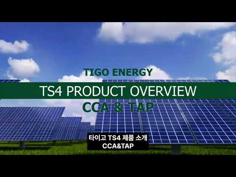 타이고 옵티마이저 CCA&TAP 소개