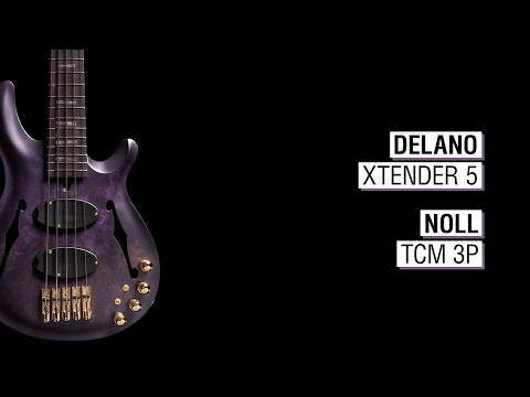 Delano Xtender 5 + Noll TCM 3P - Mensinger Joker B 5a hollowbody 32”